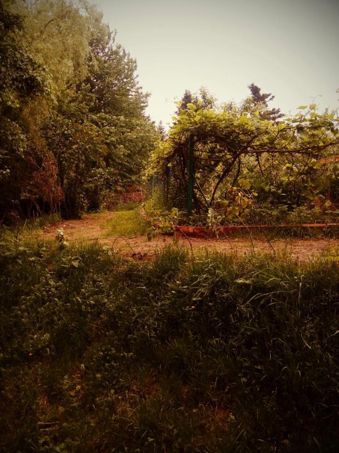 Agroturystyka u Babci Czchow Zewnętrze zdjęcie