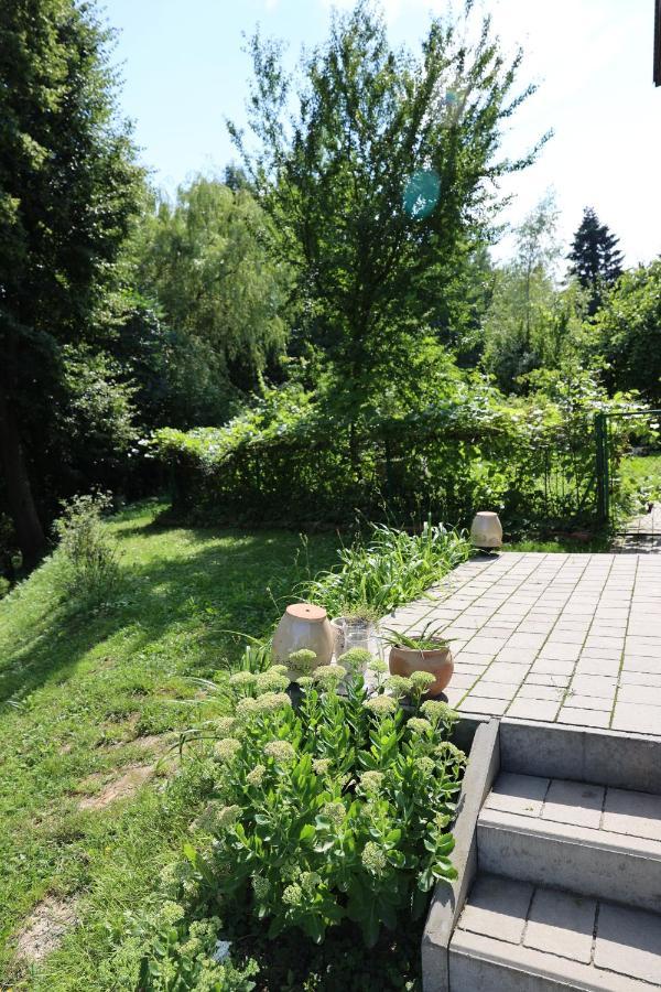 Agroturystyka u Babci Czchow Zewnętrze zdjęcie