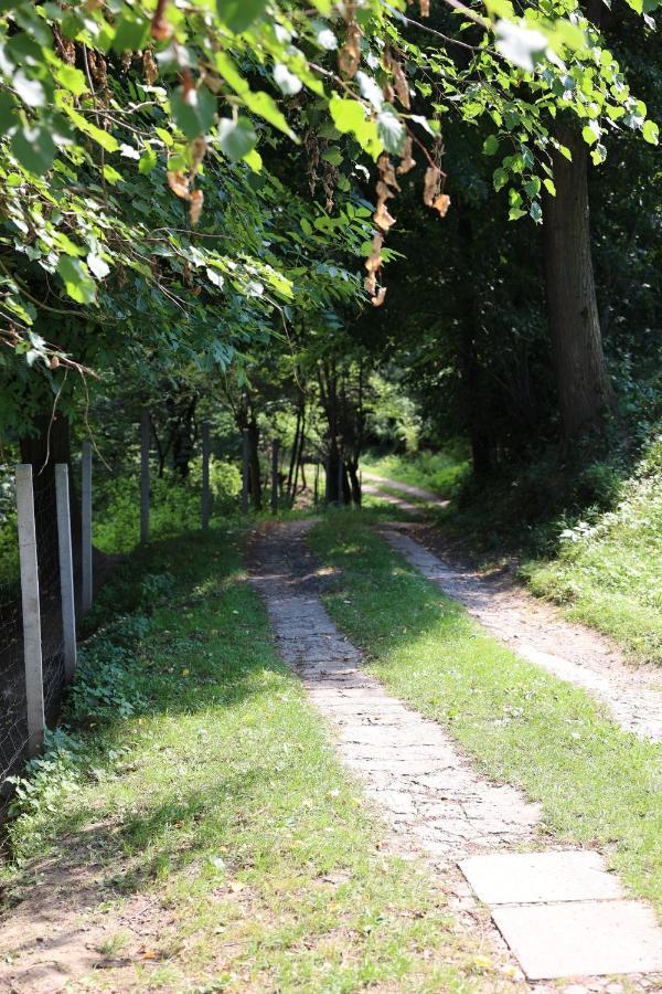Agroturystyka u Babci Czchow Zewnętrze zdjęcie