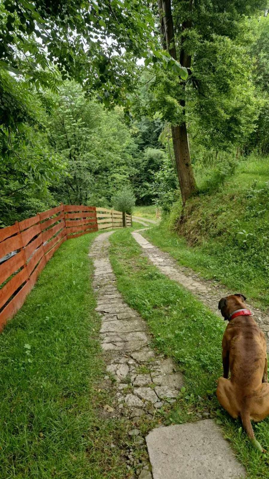 Agroturystyka u Babci Czchow Zewnętrze zdjęcie
